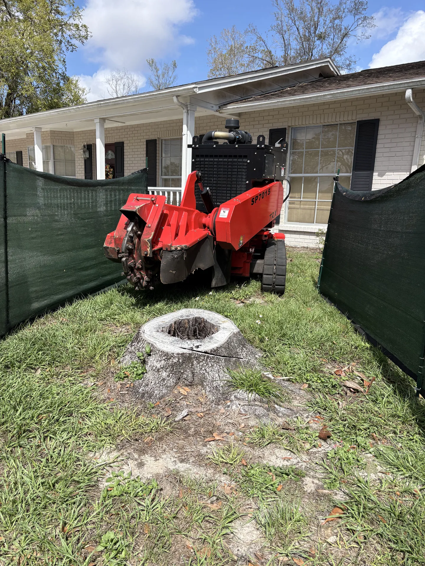 Stump Grinding in Pinellas County