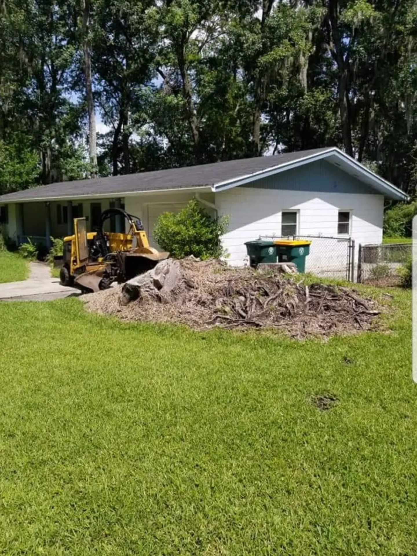 Residential Stump Removal in Tampa