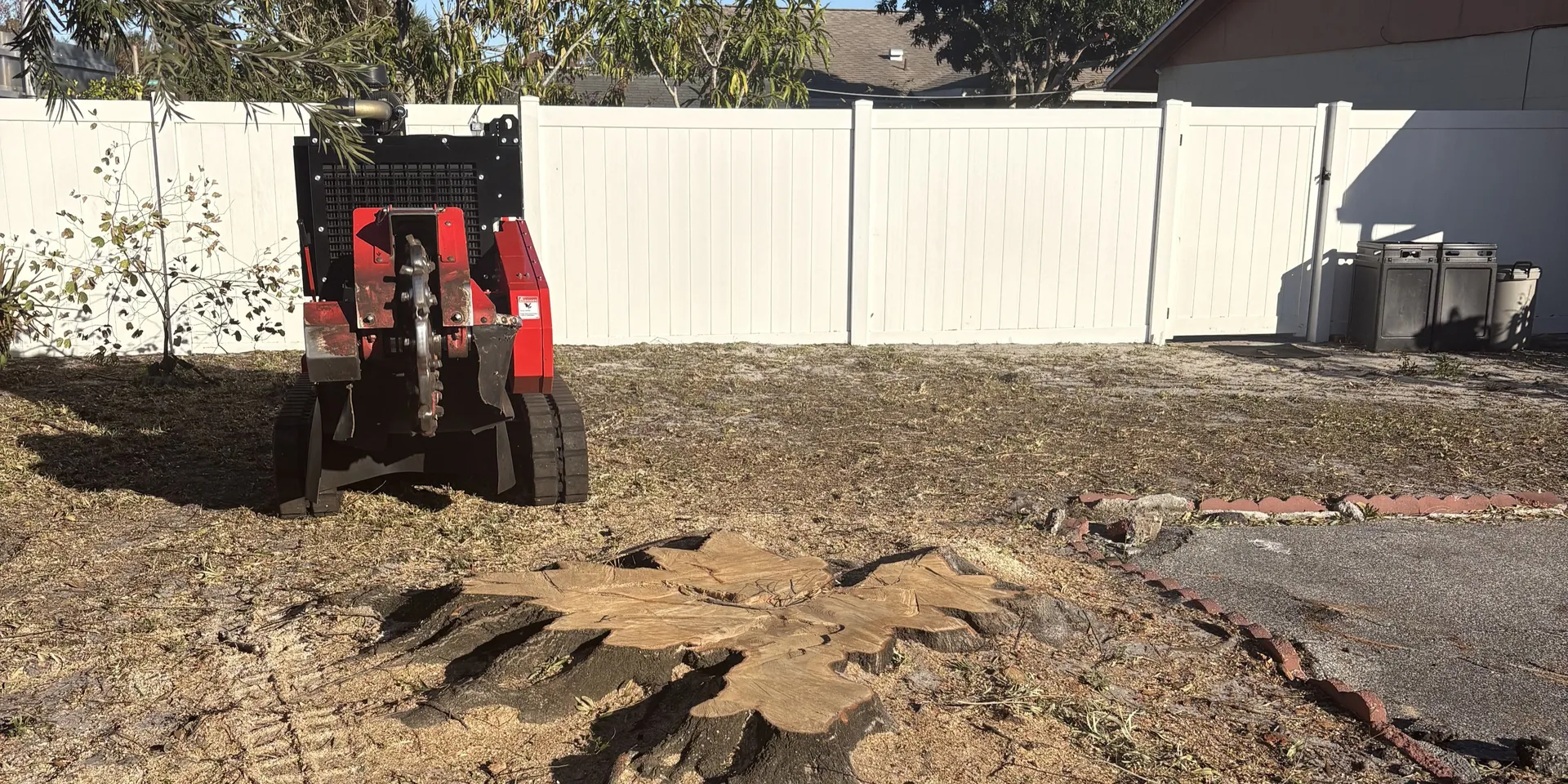 Stump grinder positioned directly above a tree stump prior to removal