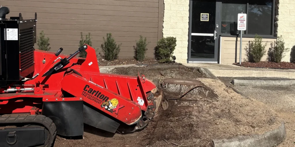 Stump grinding machine ready to begin stump removal in Tampa, Florida