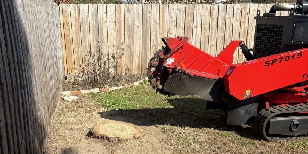 Professional stump grinding machine prepared to remove a tree stump