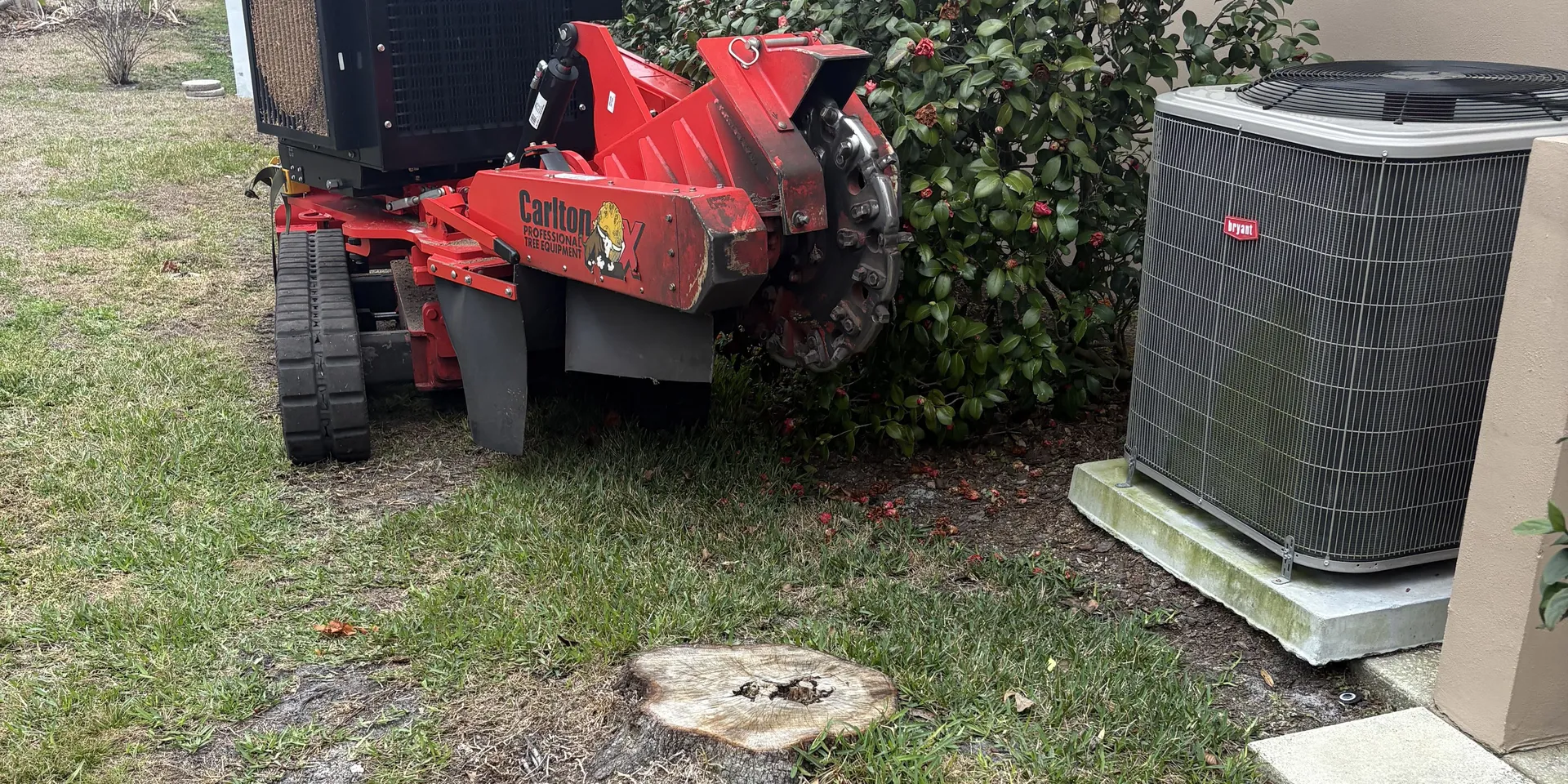 Stump grinding equipment staged at a residential property before removal