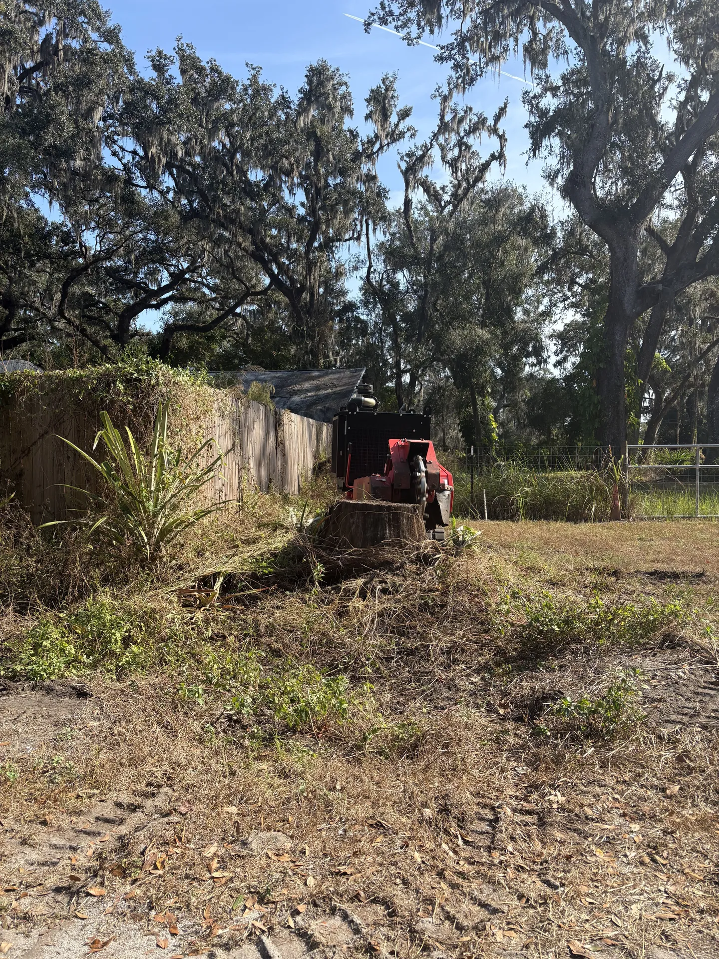 Commercial property with tree stump awaiting professional stump grinding