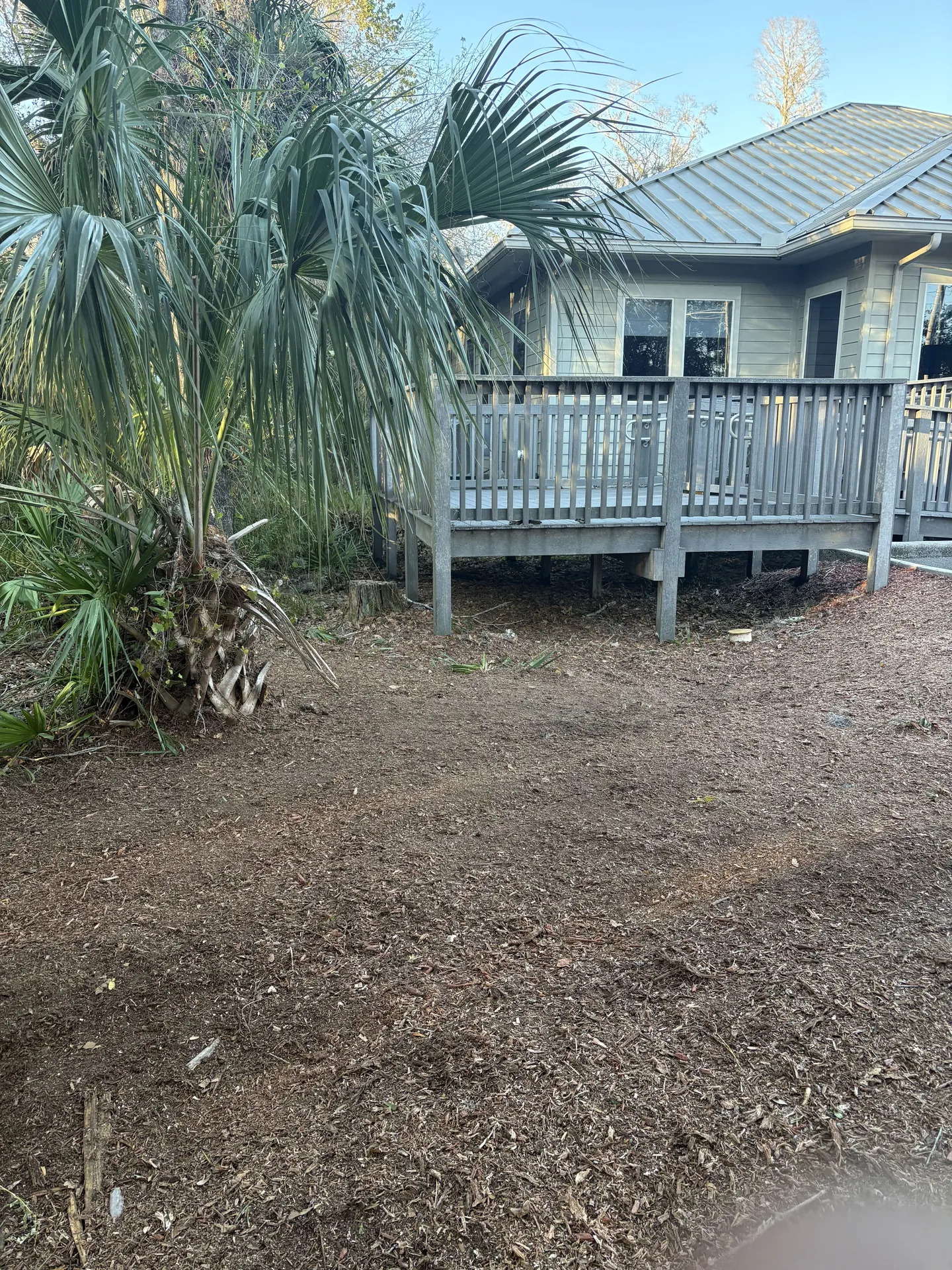 Clean and level lawn after professional stump grinding in Tampa Bay, FL