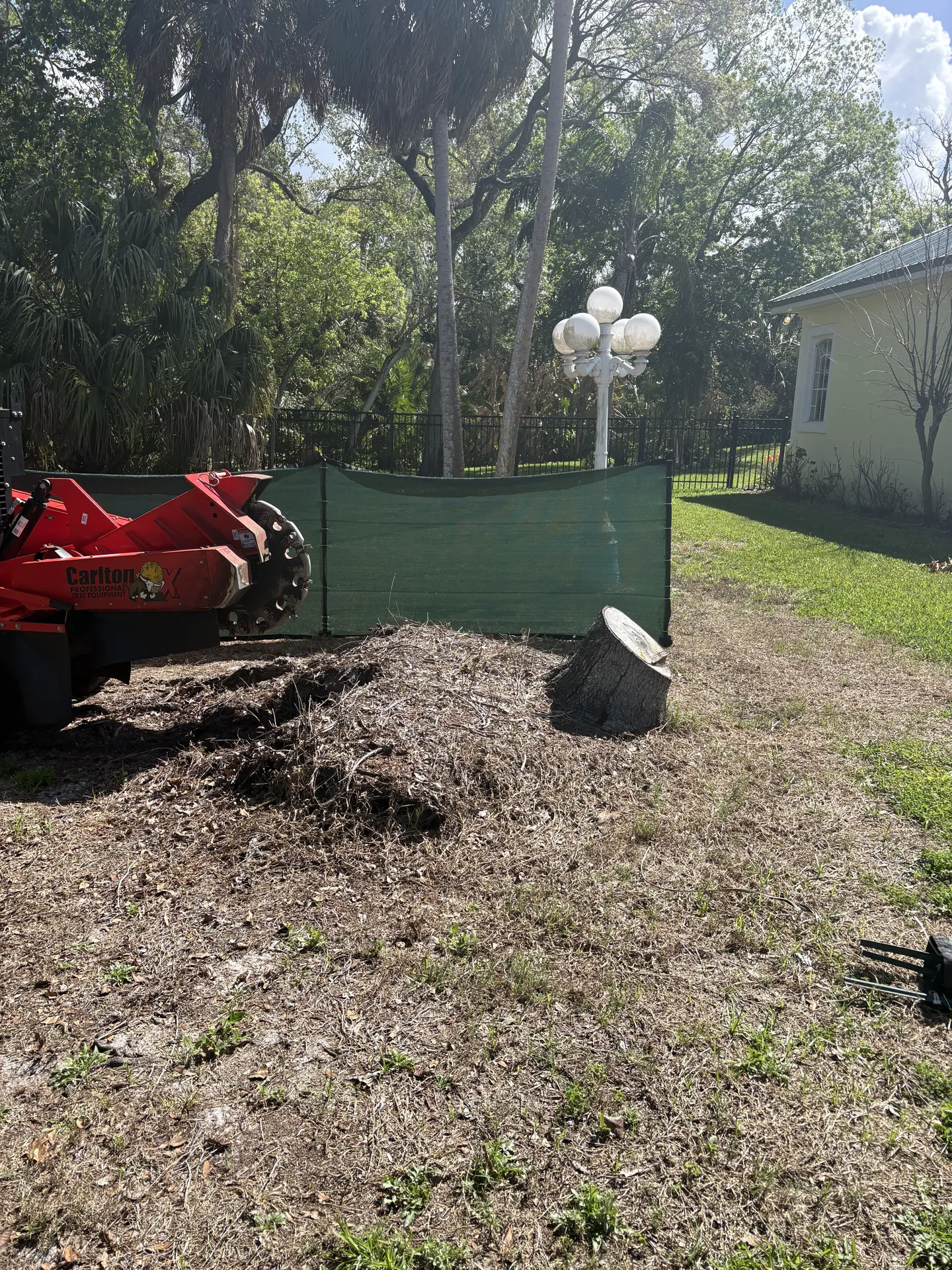 Front yard tree stump before stump grinding service in Tampa, Florida