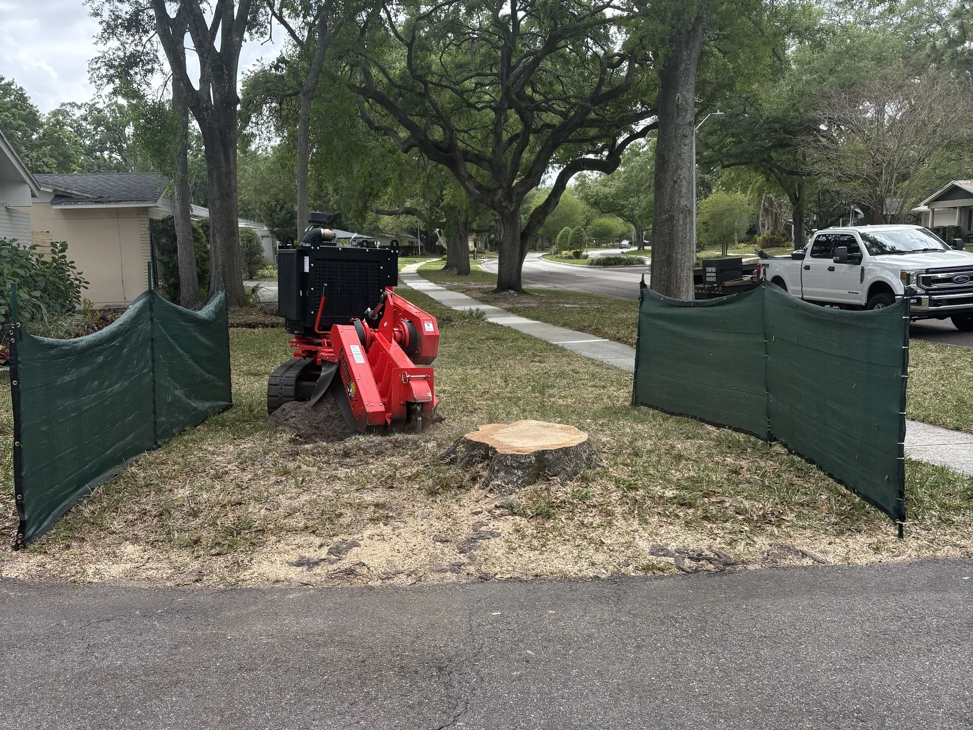 Tree stump by driveway before stump removal service