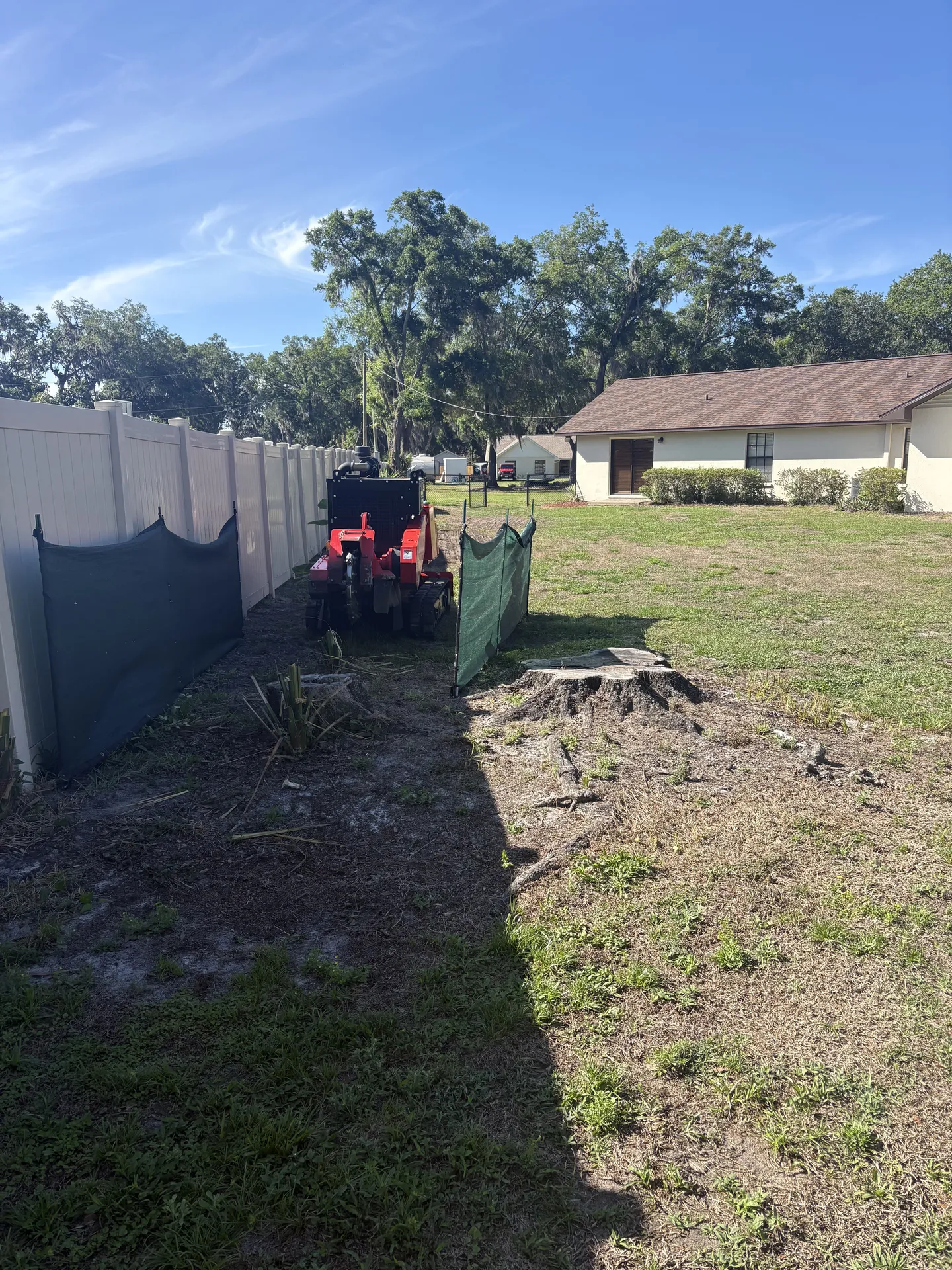 Backyard landscape featuring a tree stump before grinding and cleanup