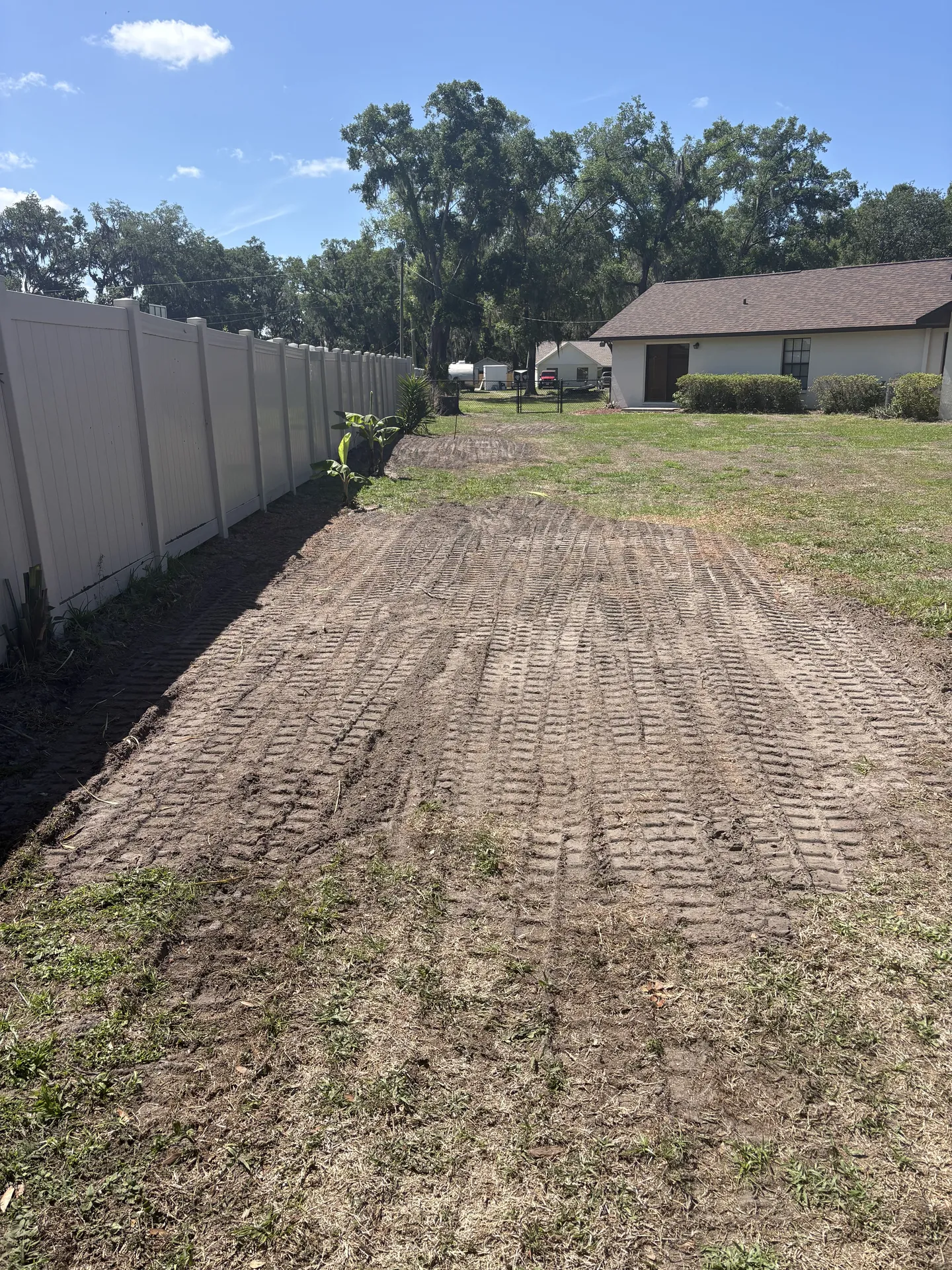 Backyard transformed after expert stump grinding and site cleanup